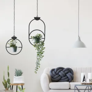 JEWEL PLANTS // BLACK