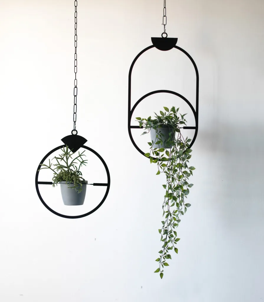 JEWEL PLANTS // BLACK