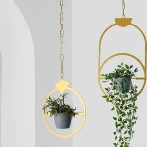 JEWEL PLANTS | GOLD