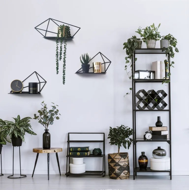 small_shelves_2_א.jpg